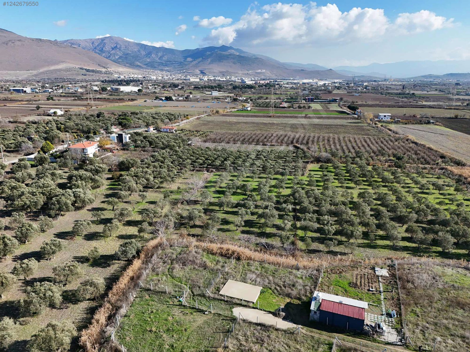 İZMİR ALİAĞA BARBAROS HAYRETTİN PAŞA  KÖYÜ’NDE ZEYTİNLİK TARLA’NIN 370 M² ‘Sİ SA - İZMİR ALİAĞA fotoğraf 2